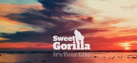 “It’s Your Life”: Sweet Gorilla’s Anthem of Return and Resilience